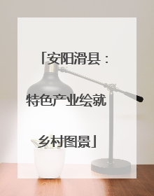 安阳滑县：特色产业绘就乡村图景